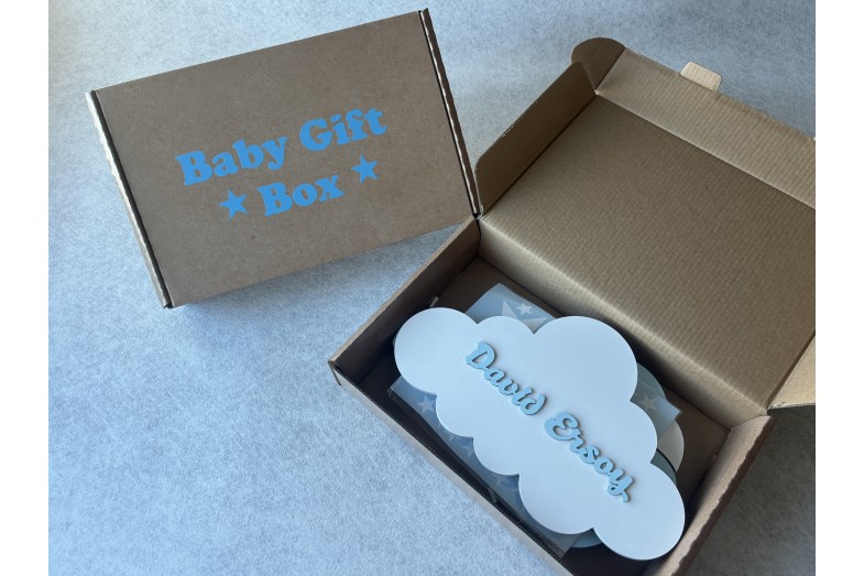 BlueLove 2'li Lamba Bebek Hediye Kutusu